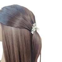 Butterfly Hairclaw - CHOMEL