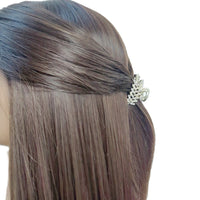 Leaf Hairclaw - CHOMEL