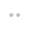 CHOMEL Freshwater Pearl Flower Stud Earrings