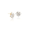 Simulated Moonstone Earrings - CHOMEL