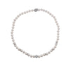 Freshwater Pearl Necklace - CHOMEL