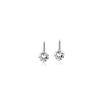 Cubic Zirconia Earrings - CHOMEL