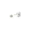 Butterfly Cubic Zirconia Earrings - CHOMEL