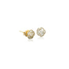 CHOMEL Cubic Zirconia Flower Gold Stud Earrings.