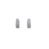 Cubic Zirconia Hoop Earrings - CHOMEL