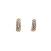 Cubic Zirconia Hoop Earrings - CHOMEL