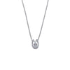 Horseshoe Cubic Zirconia  Necklace - CHOMEL