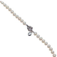 Freshwater Pearl 15.5" Necklace