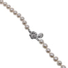 Freshwater Pearl Necklace - CHOMEL