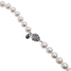 Freshwater Pearl Necklace - CHOMEL