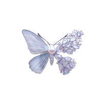 Butterfly Freshwater Pearl & Mother of Pearl Brooch