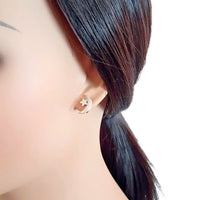 Moon & Star Cubic Zirconia Earrings - CHOMEL