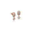 Cubic Zirconia Earrings - CHOMEL
