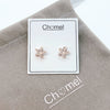 Star Cubic Zirconia Earrings.