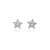 Star Cubic Zirconia Earring.