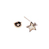 Star Mother of Pearl Earrings.