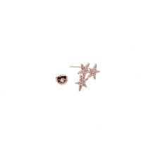 Star Cubic Zirconia Earrings - CHOMEL