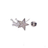 Star Cubic Zirconia  Earrings.