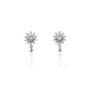 Star Cubic Zirconia Earrings.