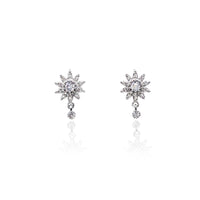 Star Cubic Zirconia Earrings.