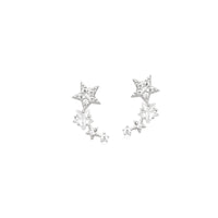 Star Cubic Zirconia Earrings.