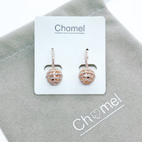 Round Cubic Zirconia Earring.