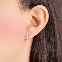 Star Cubic Zirconia Earrings.