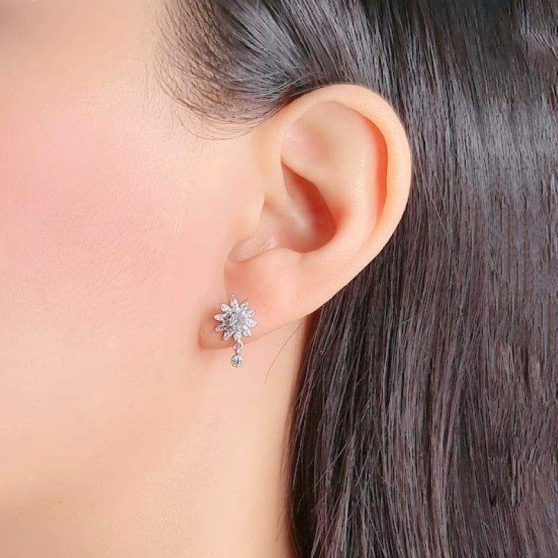 Star Cubic Zirconia Earrings.